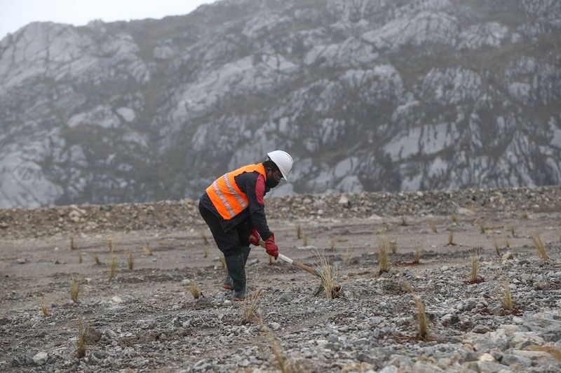 Cara Melamar Pekerjaan di PT Freeport