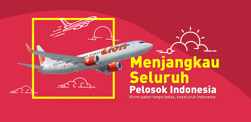 Profil Lion Parcel