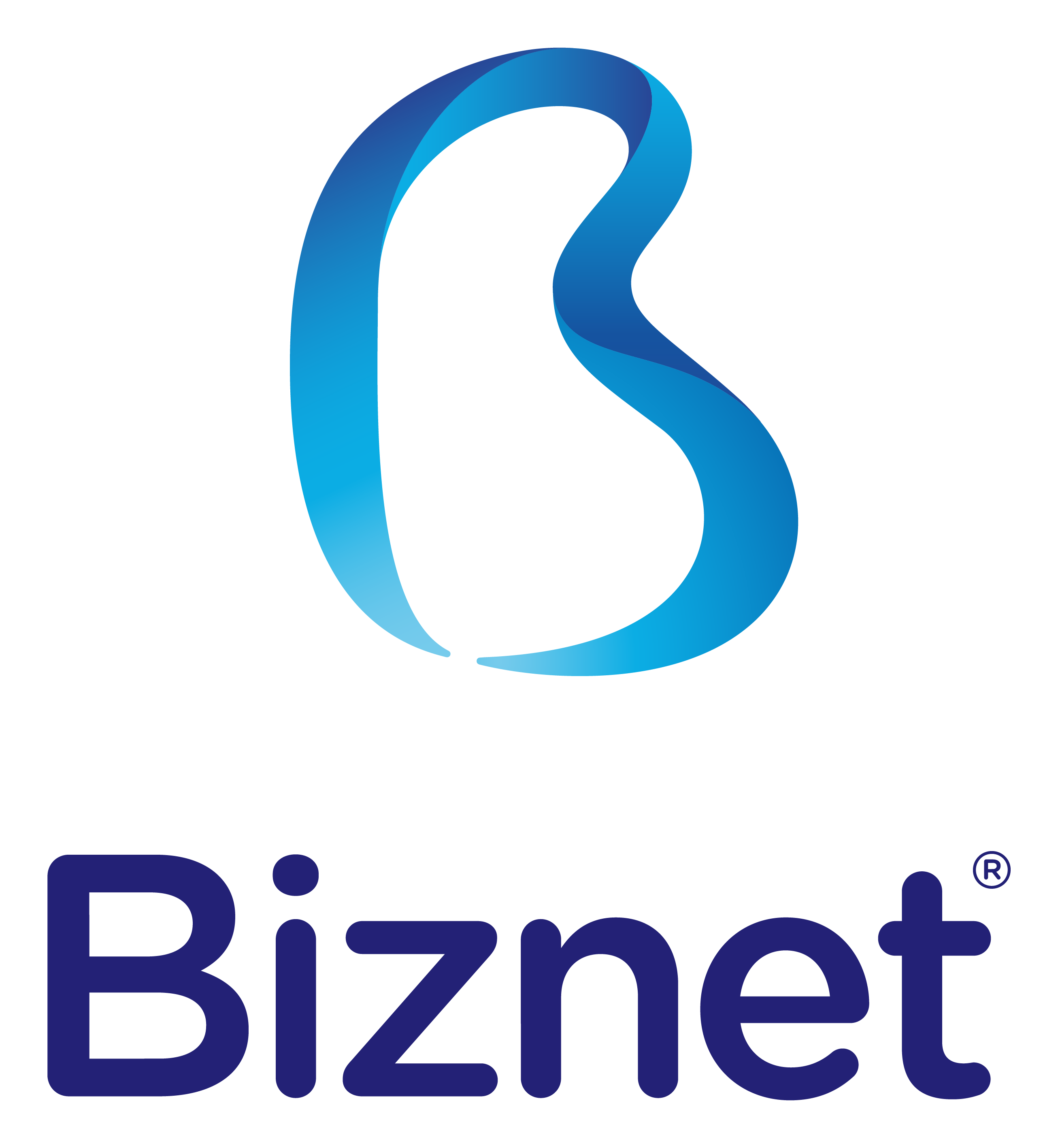 Profil Biznet