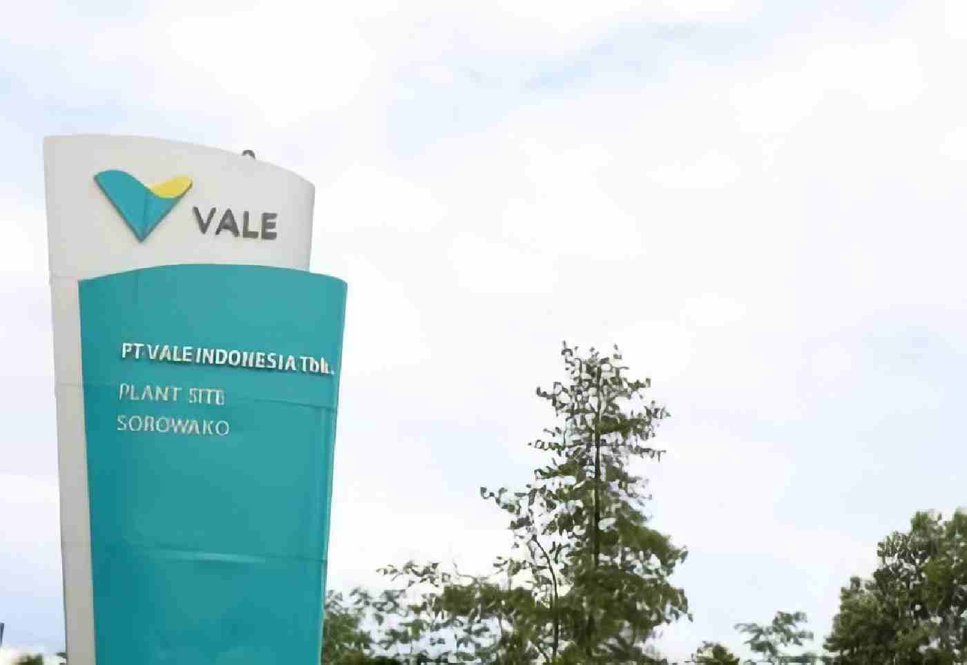 Profil PT. Vale Indonesia