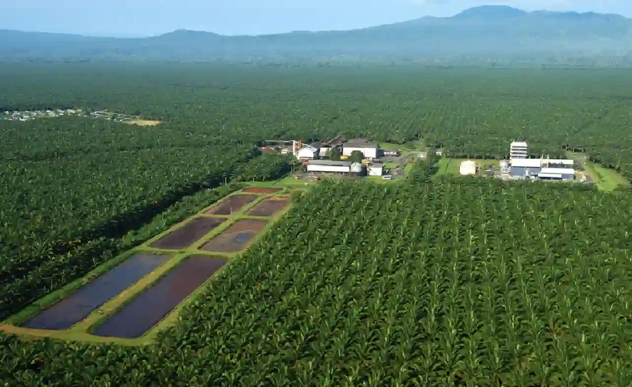Cara Melamar Pekerjaan di PT Sriwijaya Palm Oil