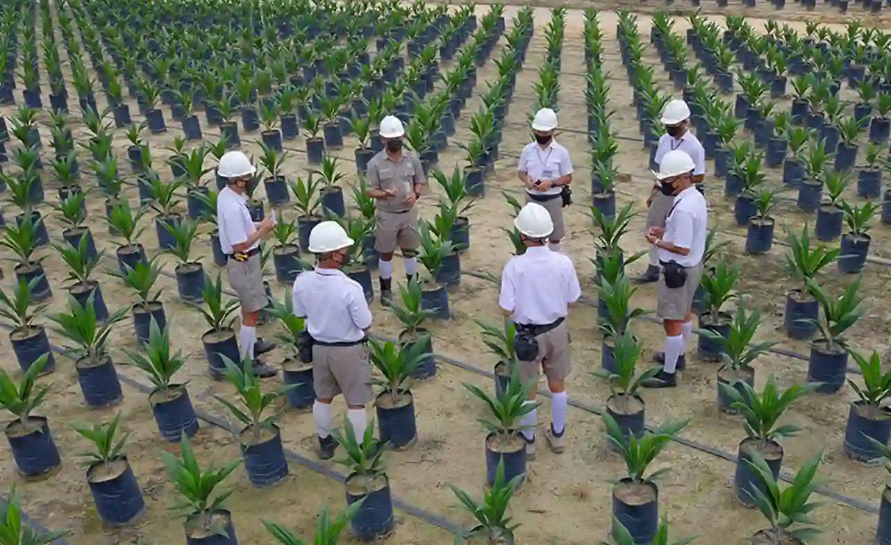 Gaji Karyawan PT Asian Agri