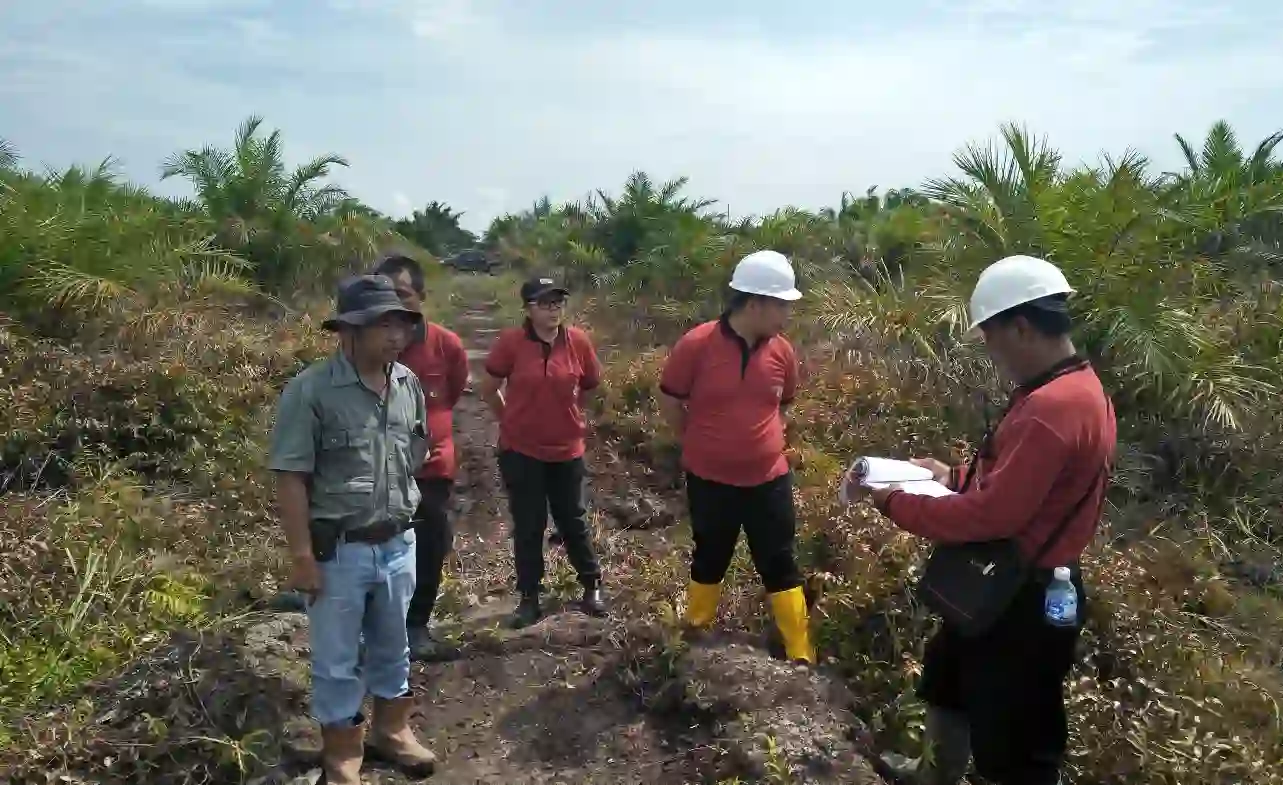 Gaji PT Sriwijaya Palm Oil Group Terbaru
