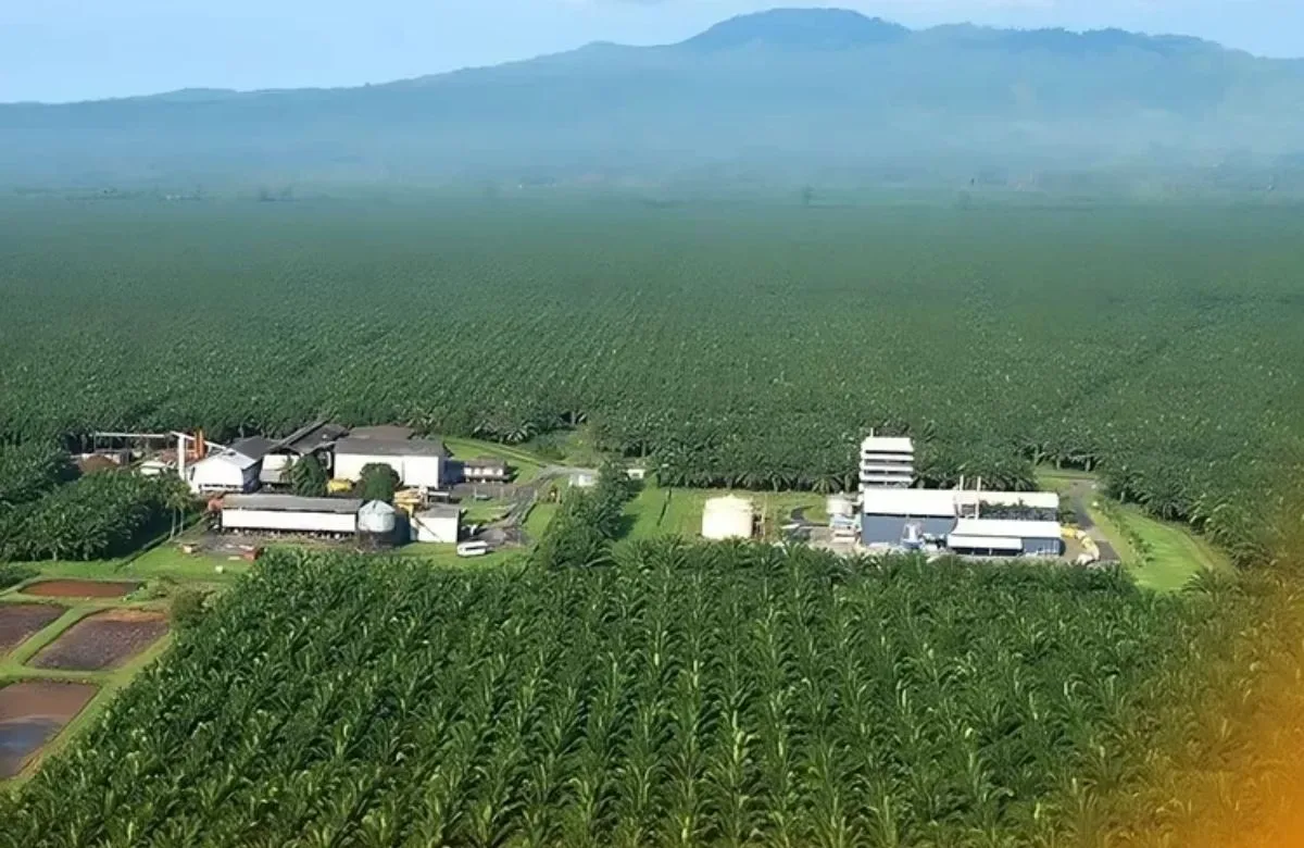 Gaji PT Sriwijaya Palm Oil Group