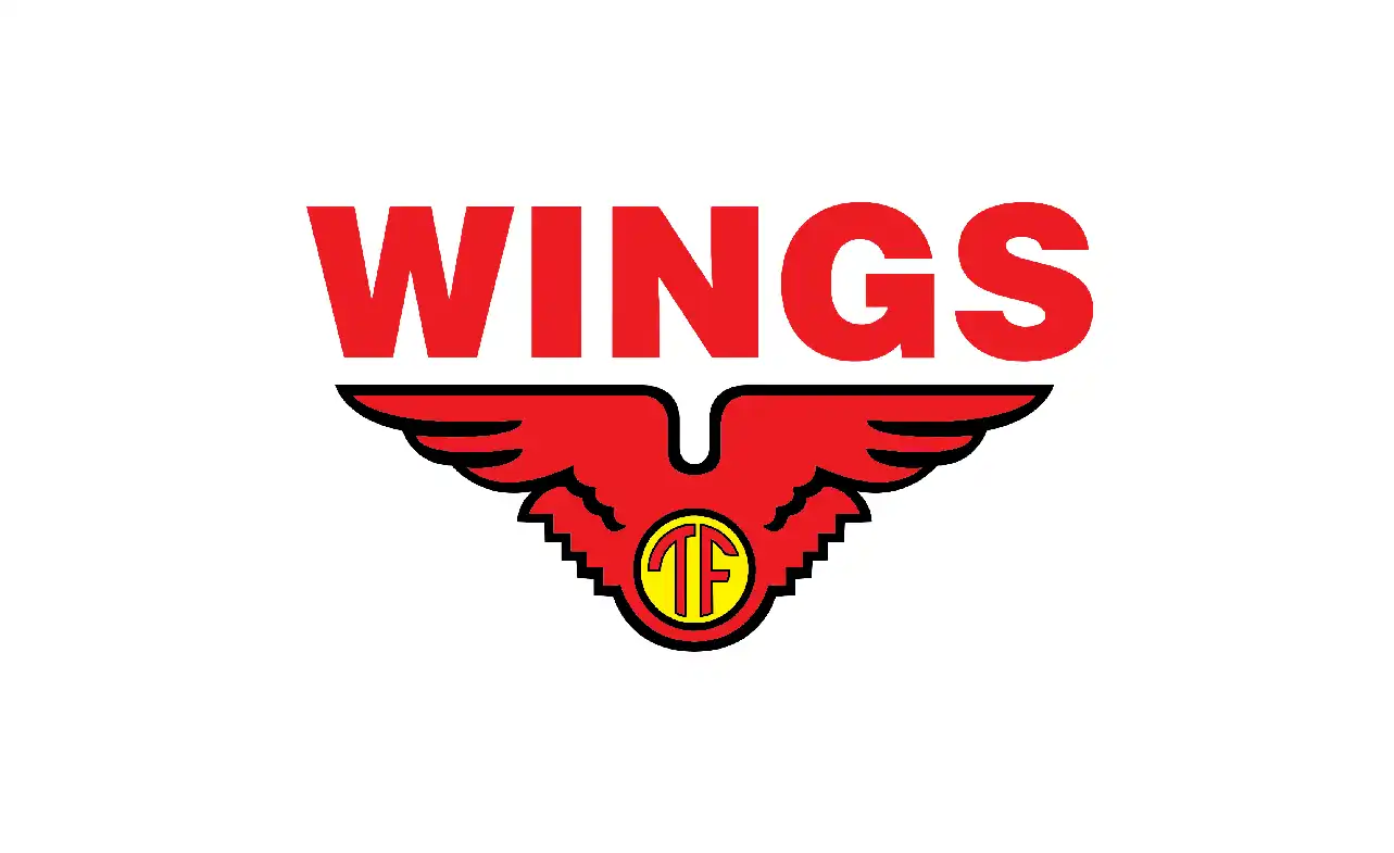 Gaji PT Wings Group