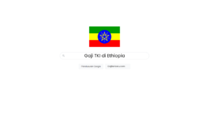 Daftar Gaji TKI di Ethiopia Semua Profesi