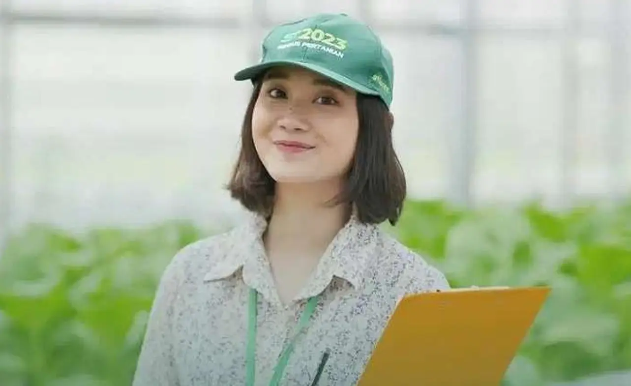 Profil Perusahaan BPS