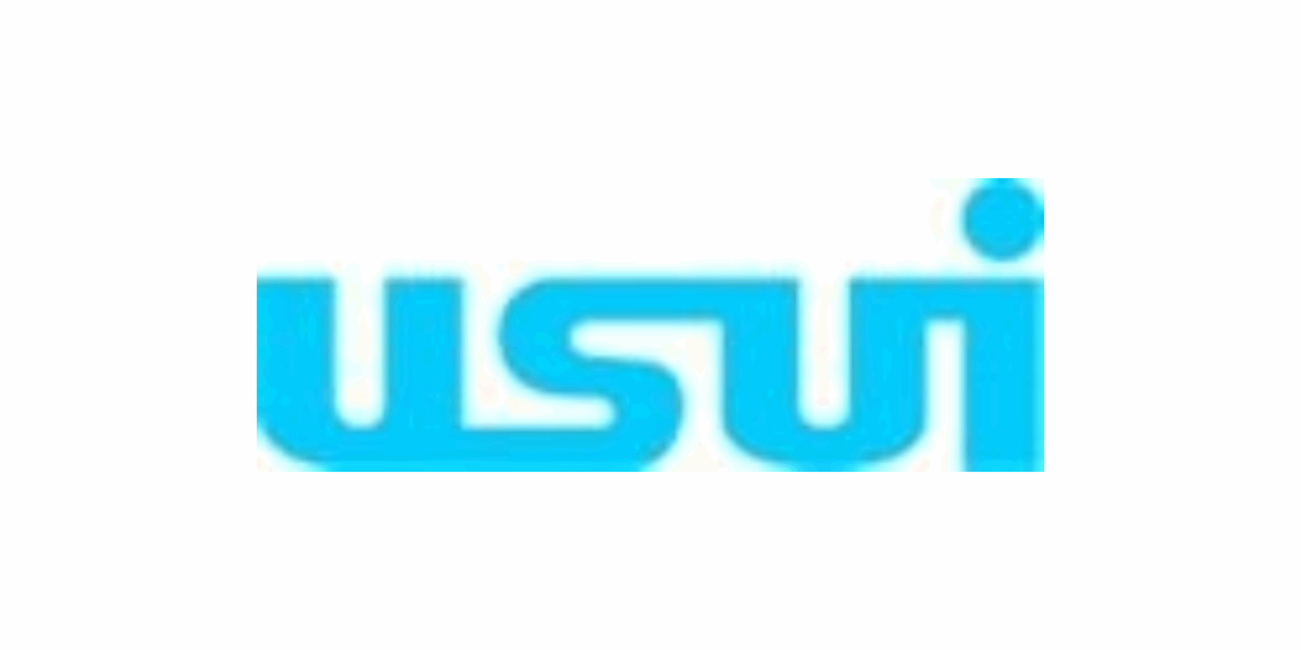 PT USUI INTERNATIONAL INDONESIA
