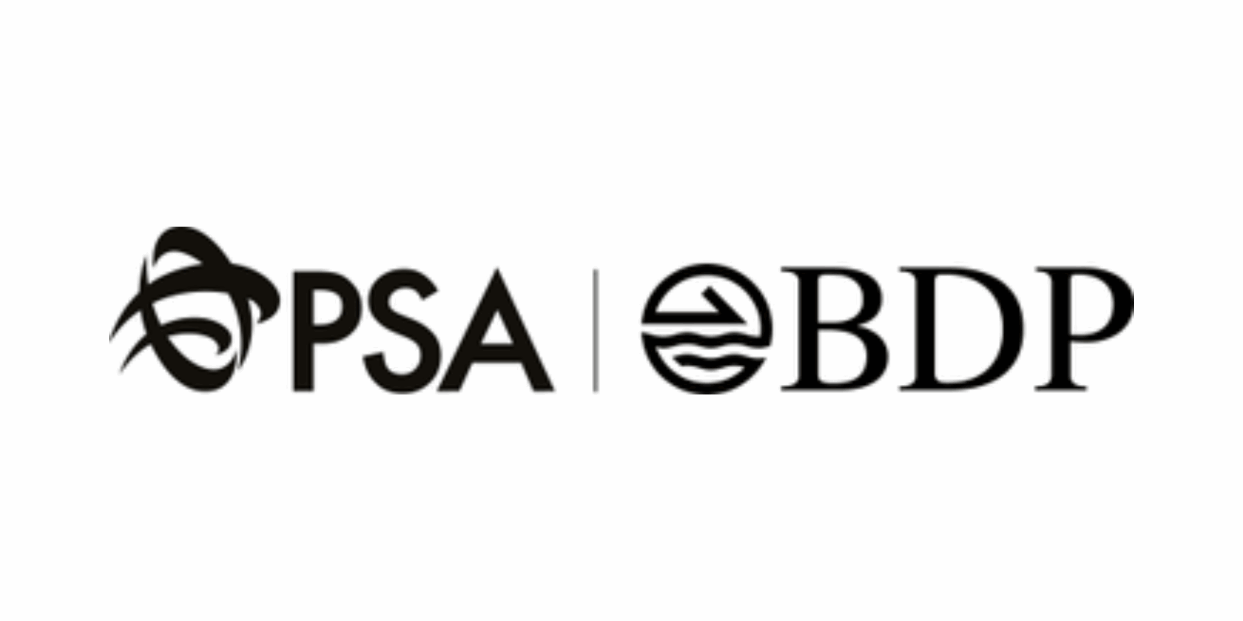 PT BDP Indonesia