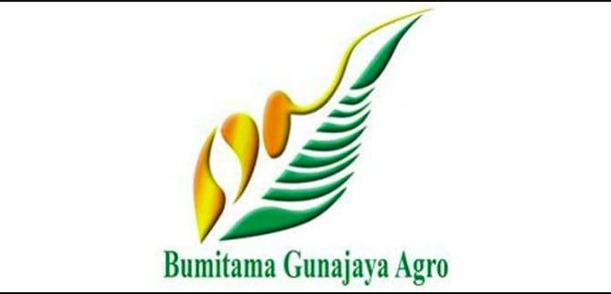 Gaji PT Bumitama Gunajaya Agro Semua Jabatan 2025